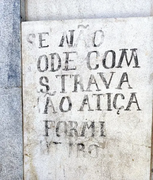 não sejas chihuahua